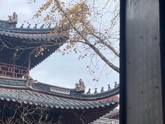 -普陀山风景名胜区-法雨禅寺
