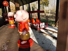 -合肥滨湖国家森林公园