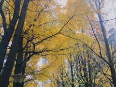 -西南交通大学(九里校区)