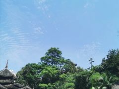 -阿谋美食·广西菜