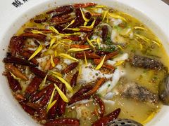-太二酸菜鱼(菱角湖万达店)