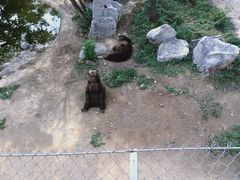 -石家庄市动物园