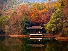 -杭州半山国家森林公园