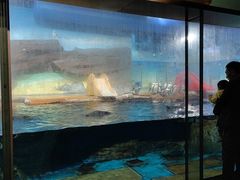 -海合安武汉极地海洋公园