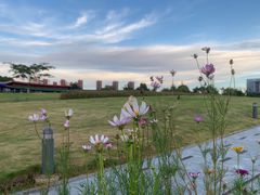 -白塘生态植物园