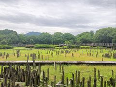 -河姆渡遗址博物馆