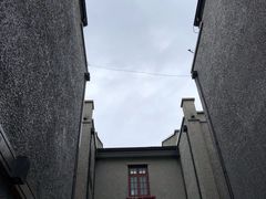 -星巴克臻选(思南公馆店)
