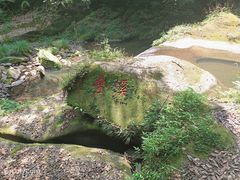 -碧峰峡风景区