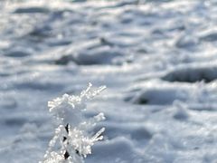 -武陵山森林公园