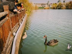 -南通濠河风景名胜区