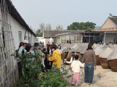 -苏州市吴中区光福窑上花果蜜饯厂