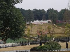 -铁山坪森林公园