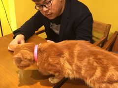 -密讯馆密室逃脱&换装侦探剧(环球港旗舰店)