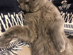-平行世界·猫咖(首经贸店)
