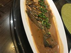压塌鱼-鱼王府大酒店