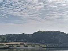-东莞植物园