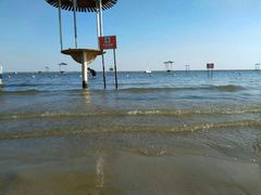 -碧海金沙