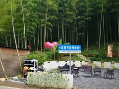 -将军关探险漂流