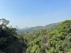 -深圳仙湖植物园