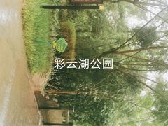 -重庆彩云湖湿地公园