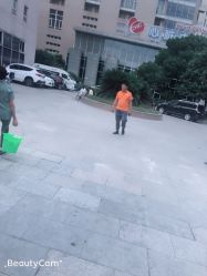 -上海交通大学医学院附属上海儿童医学中心(陆家嘴总院区)