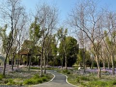 -溱湖国家湿地公园