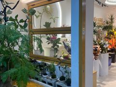 -溪岸路花鸟市场