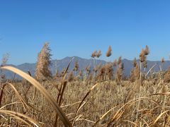 -野鸭湖国家湿地公园
