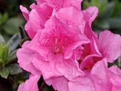 -桤木河湿地公园