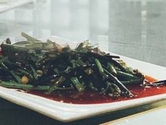 炒蕨菜-源泉冷水鱼庄(小鱼洞店)