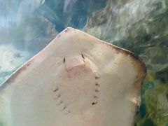 -杭州海底世界