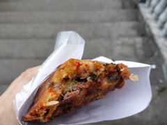 -半月镰胡姐脆皮萝卜饺子