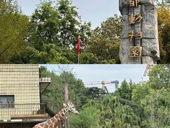 -成都动物园