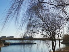 -大兴滨河森林公园