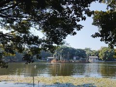 -荔湾湖公园
