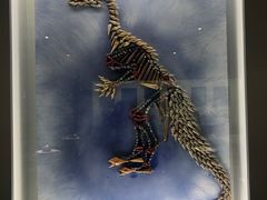 -贝壳王国博物馆