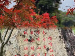 -广州市帽峰山景区