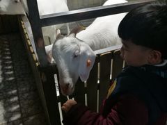 -上海大自然野生昆虫馆(东方明珠·爬宠昆虫探索中心)