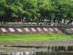 -蒋氏故居