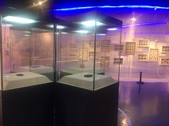 -中国湿地博物馆