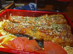 -鳗鱼家·深夜食堂(军博店)