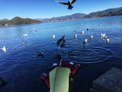 -泸沽湖里格半岛