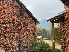 -广悦华阳朔河畔度假酒店(十里画廊遇龙河店)