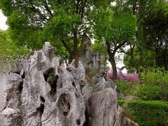 -南汇桃花村