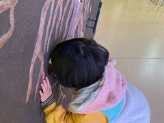 -苏州青少年科技馆