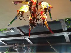 android_upload_pic-栖巢咖啡(天鹅湖万达低碳店)