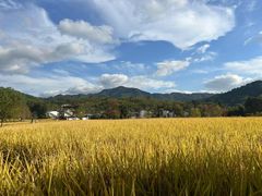 -塔川景区