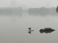 -海珠湖公园