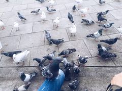 -墨尔本滨海港区