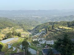 -紫鹊界梯田景区